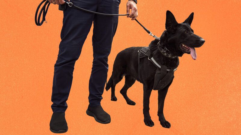 a police drug dog with its handler | Envato