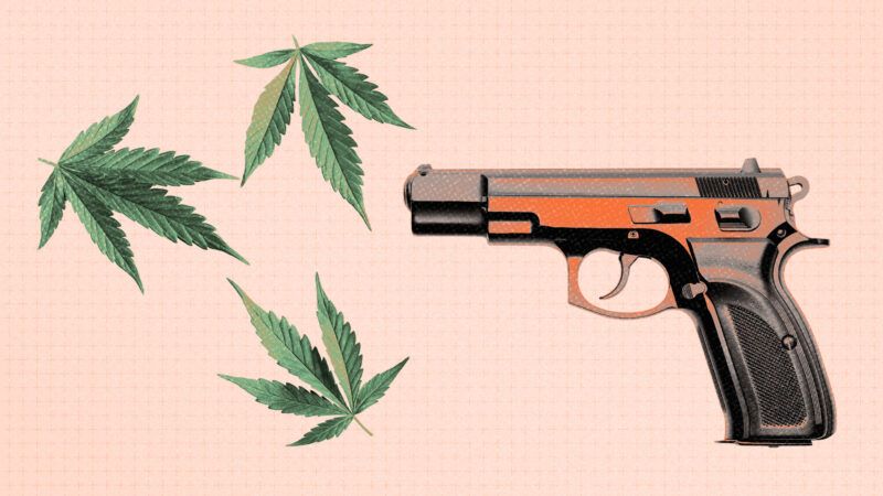 cannabis leaves next to a pistol | Envato