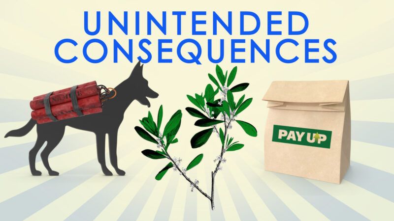 Unintended Consequences with a dog with a bomb, a coca plant, and a delivery bag with a Seattle PayUp logo | ReasonTV
