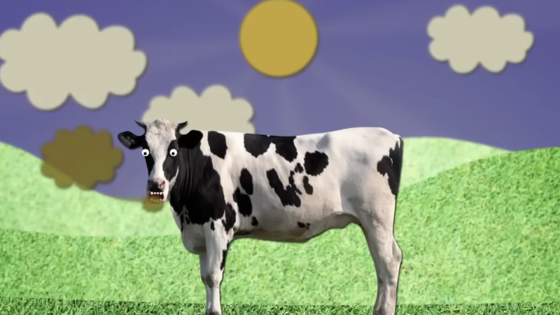 A cartoon cow stands in front of rolling hills | Stossel TV