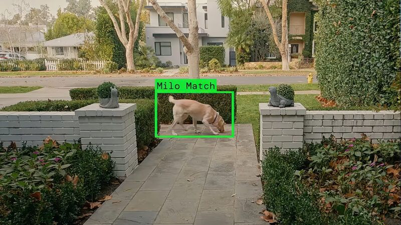 A frame from Ring's Super Bowl ad showing a dog outside someone's front door | Photo: Ring