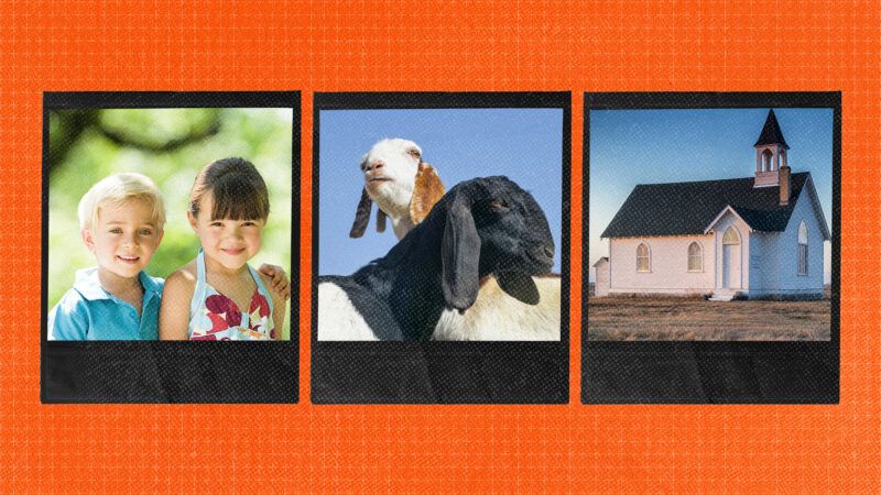 Kids, goats, and church | Envato