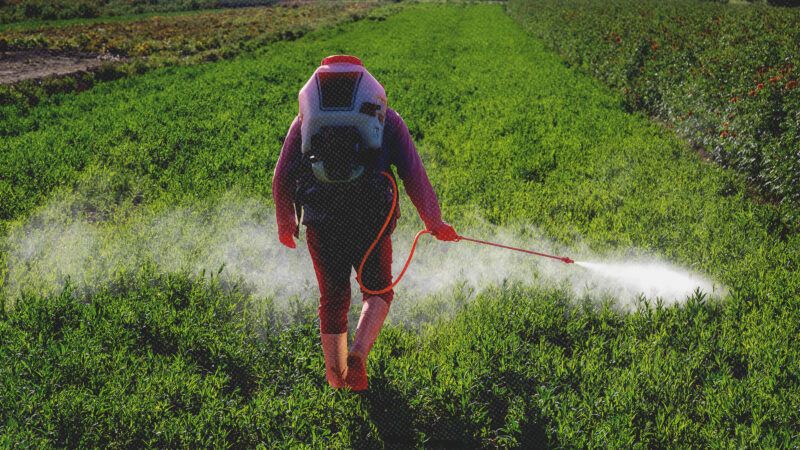 A person sprays pesticides while wearing protective gear | Envato