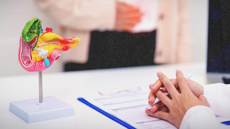 A model pancreas sits on a table next to some papers and someone's clasped hands. The lower half of a standing person is seen behind the table. | Panuwat Dangsungnoen/Dreamstime