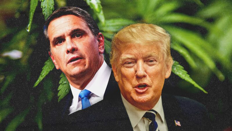 Acting Attorney General Todd Blanche and President Donald Trump against a backdrop of cannabis plants | imageBROKER/Sunshine Seeds/Bonnie Cash/UPI/Newscom/John Poltrack/Dreamstime
