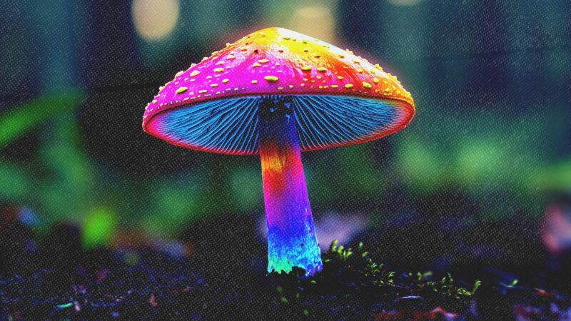a psychedelic-colored psilocybing mushroom | Midjourney