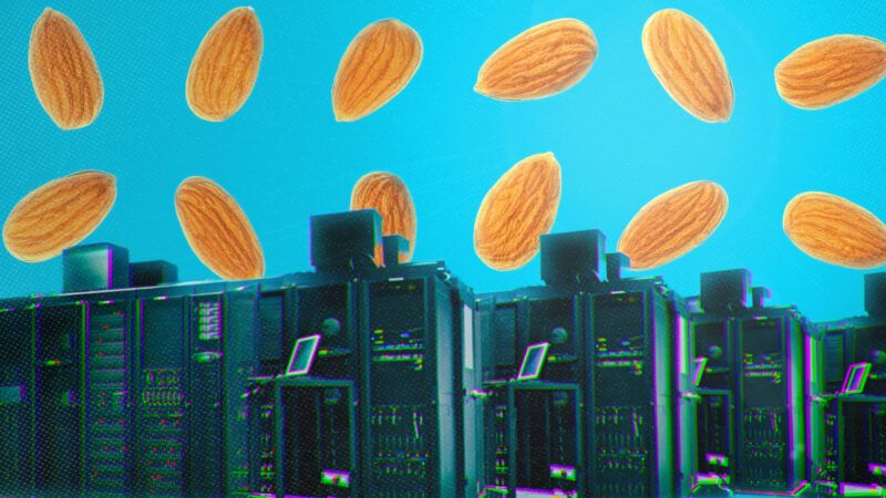 Data centers with almonds above them | Adani Samat/Envato