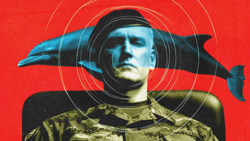 Against a red background, a soldier with a black beret is seated, with an image of a dolphin behind him, and there are circles emanating from around his face. | Illustration: Midjourney