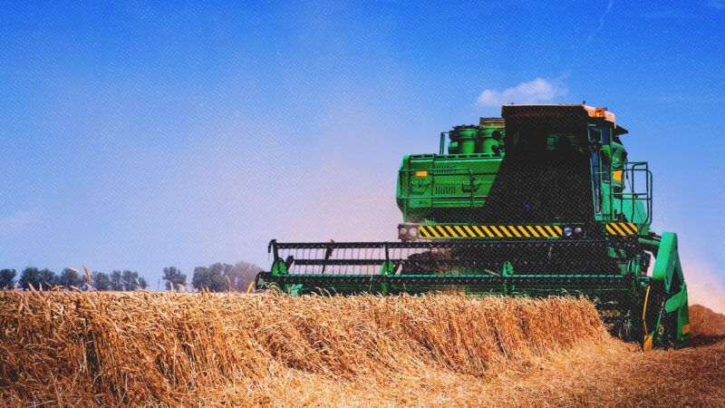 A combine drives through a field | Credit: Dary423/Dreamstime