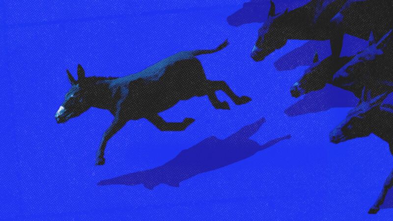 One donkey breaks away from a pack, which appears to be chasing it. | Illustration: Midjourney