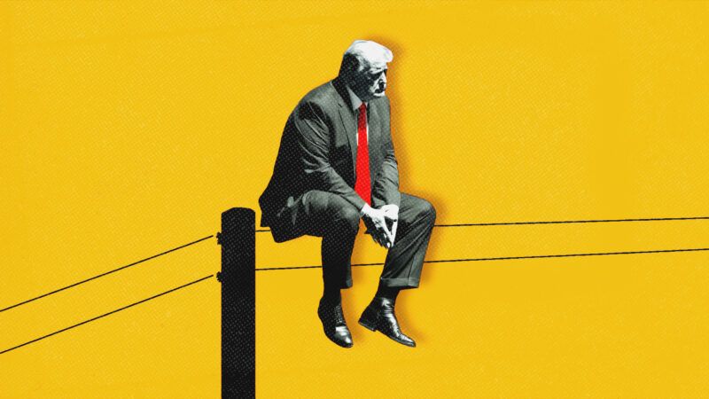 President Donald Trump sitting on power lines with a yellow background | Midjourney