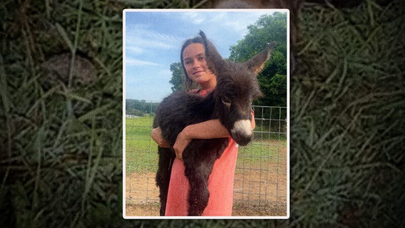 Young girl holding petting zoo donkey named HeeHaw | Hannah Israel/GoFundMe.