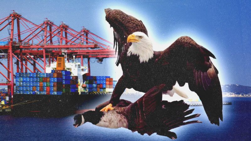 Shipping containers on a ship and a bald eagle grabbing a Canadian goose | The White House/X/Steve Allen/Dreamstime