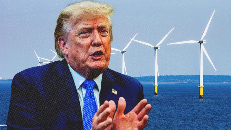 President Donald Trump and wind mills in the background | Illustration: Aaron Schwartz - via CNP/Polaris/Newscom/Peter Titmuss/Dreamstime