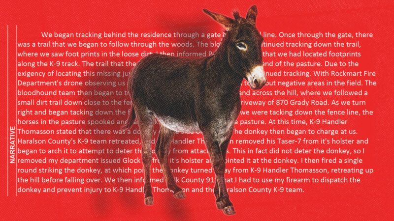 donkey | Illustration: Cedartown Police Department incident report (Case #26-7475)/Lifeonwhite/Envato