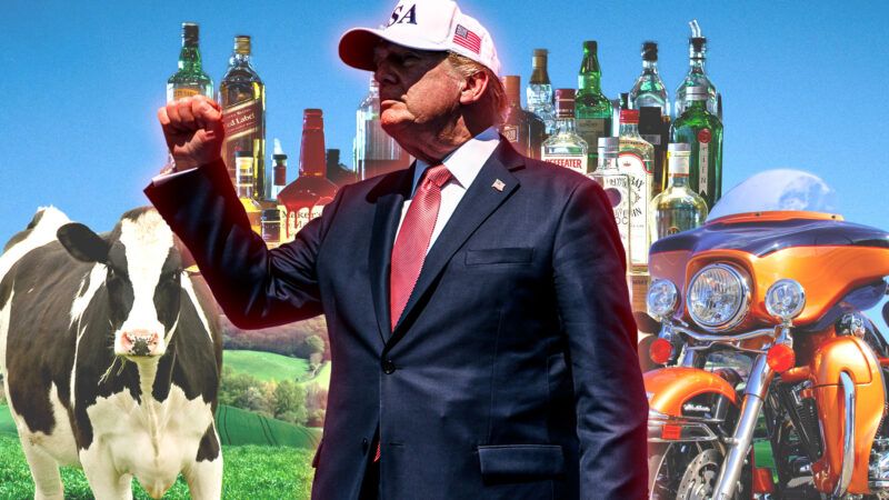 Donald Trump in front of photos of Canadian cows, beer, and motorcycles | Daniel Torok/Newscom/Michalakis Ppalis/Dreamstime/Photobunnyuk/Adani Samat