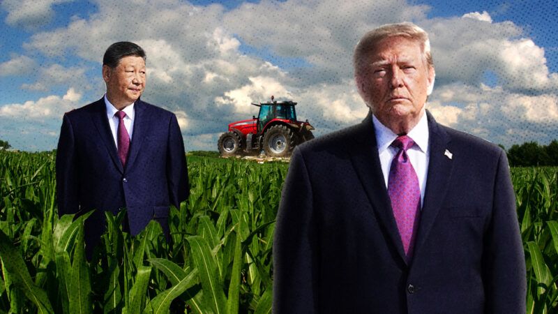 Chinese President Xi Jinping on the left, President Donald Trump on the right, a tractor in the middle, on a farm | Yuri Gripas - Pool via CNP/MEGA/Newscom/RSSIL/Newscom/Suzanne Tucker/Magdalena Ruseva/Dreamstime.