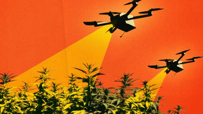 Illustration of a marijuana field and drones hovering above | Illustration: Midjourney