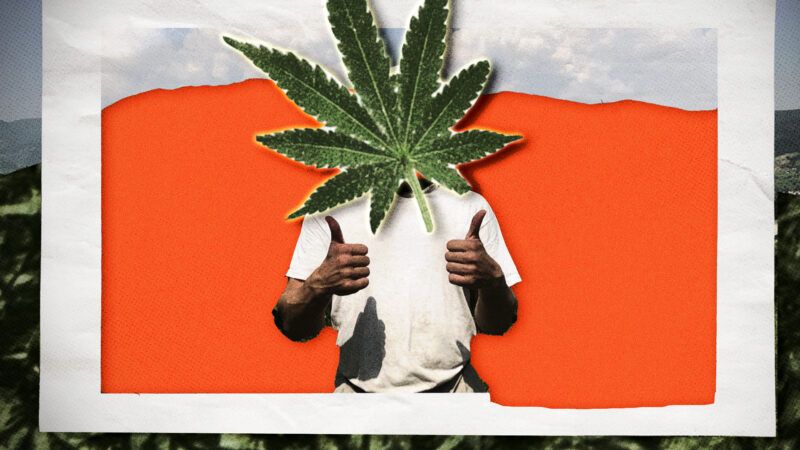 A man with a hemp leaf over his face | Midjourney
