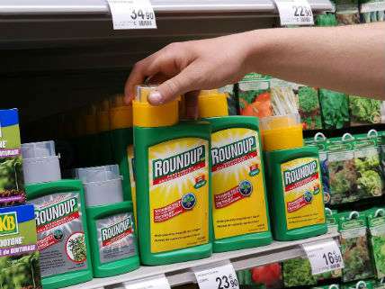 Monsanto's Weedkiller Glyphosate Is Not A Carcinogen, Says E.U ...