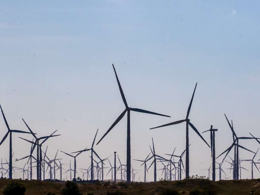 A Professor Whose Renewable Energy Claims Are Challenged Sues For Libel ...