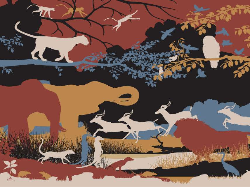 The Coming Century of Environmental Renewal