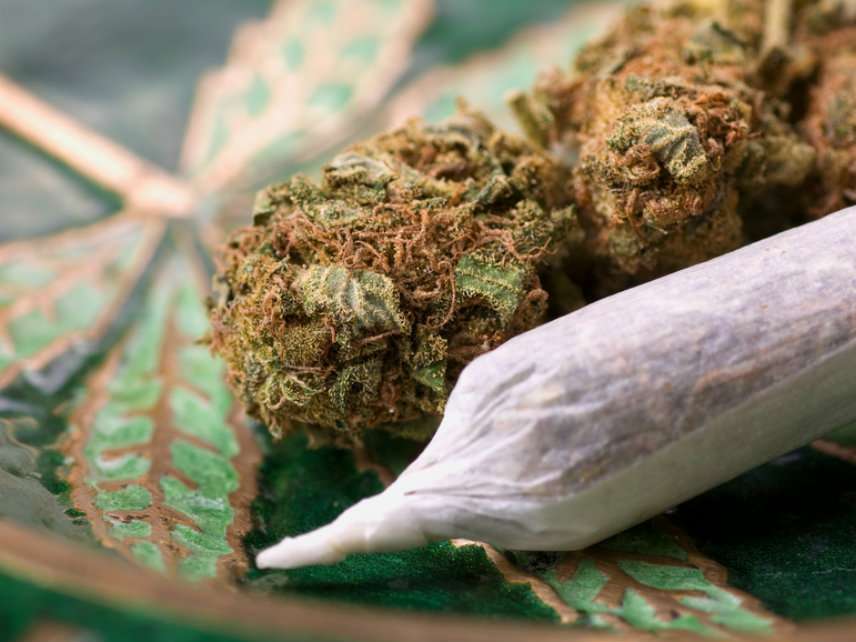 Woman Charged for 'Gifting' Weed, Which Is Totally Legal in Massachusetts