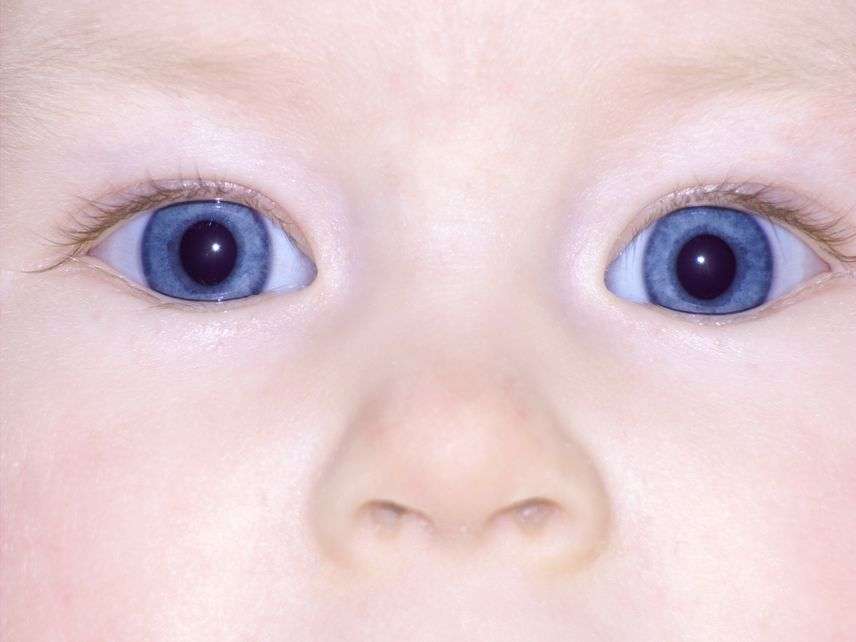 Can You Choose Your Baby'S Eye Color 