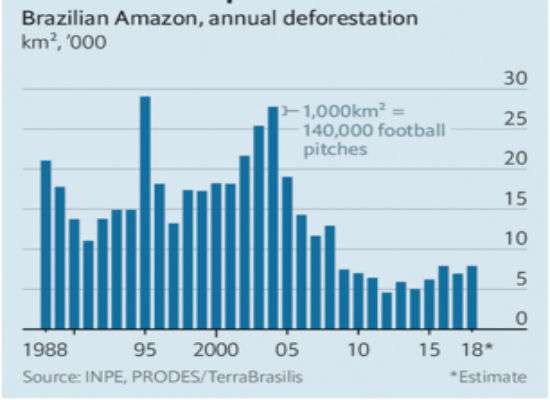 The Amount Of Deforestation In The  Rainforest Matches The