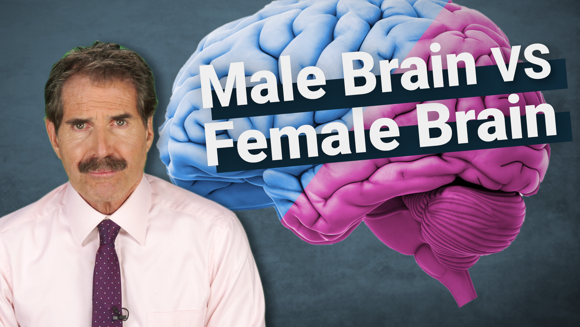 Stossel The Science Around Male Brains Vs Female Brains