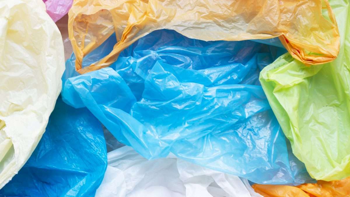 Plastic Bags Reason Com