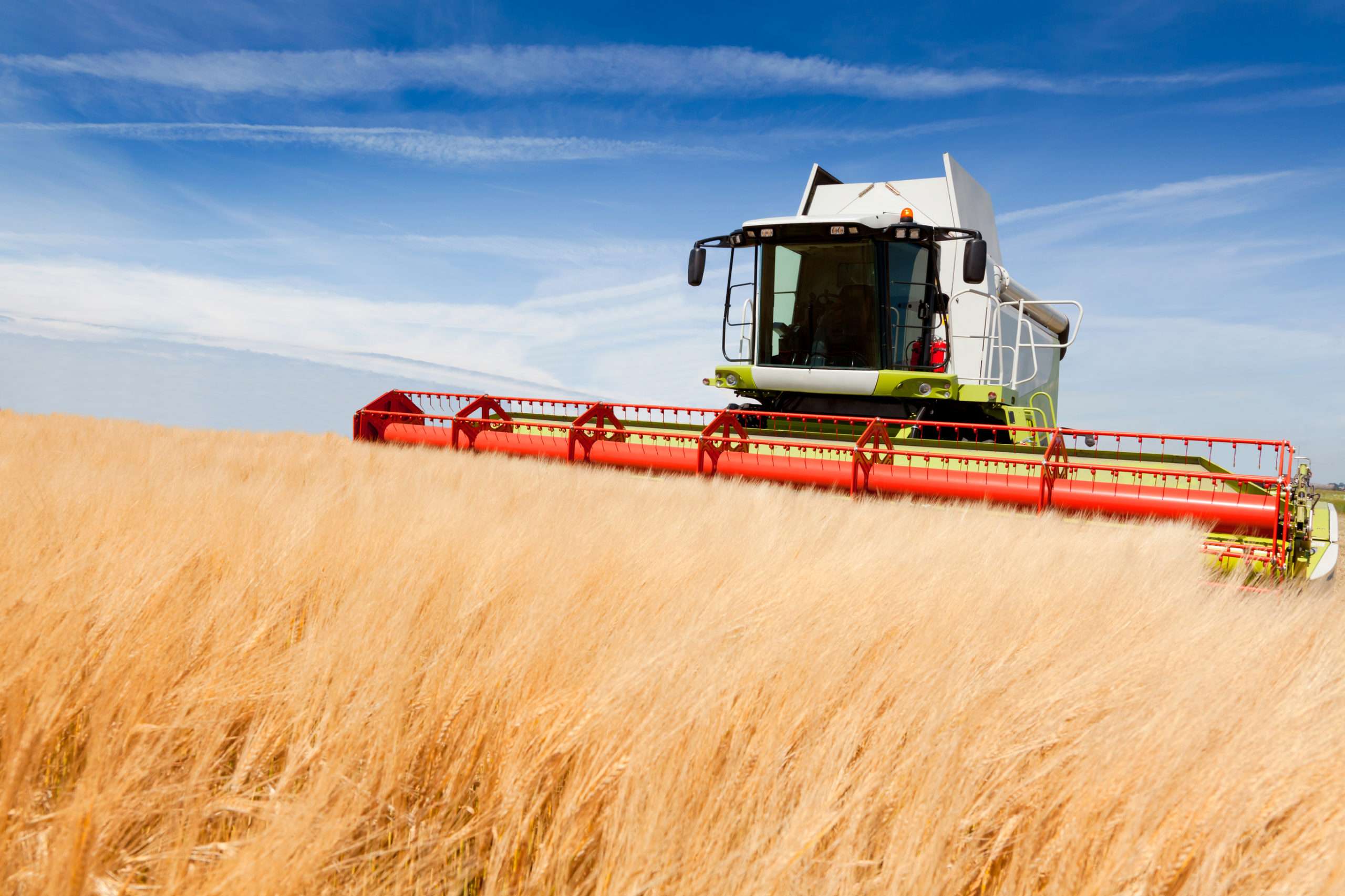 Its Possible To Cut Cropland Use In Half And Produce The Same Amount