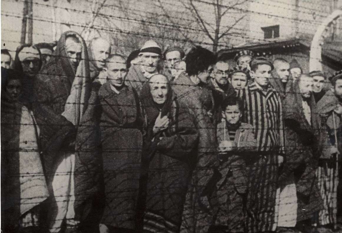 New Survey Showing Public Ignorance About The Holocaust Among Young   Holocaust 