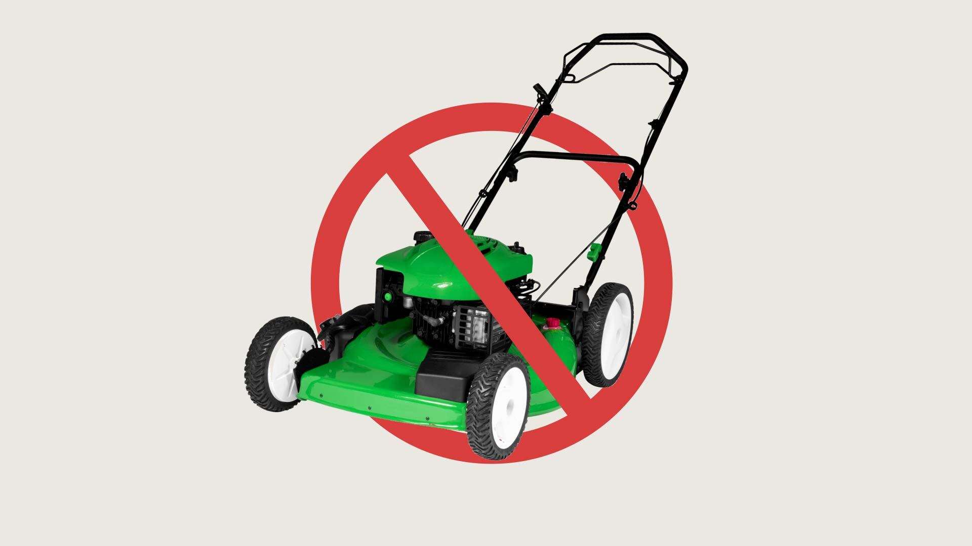 Racy advert for lawnmowers banned after using models posing in