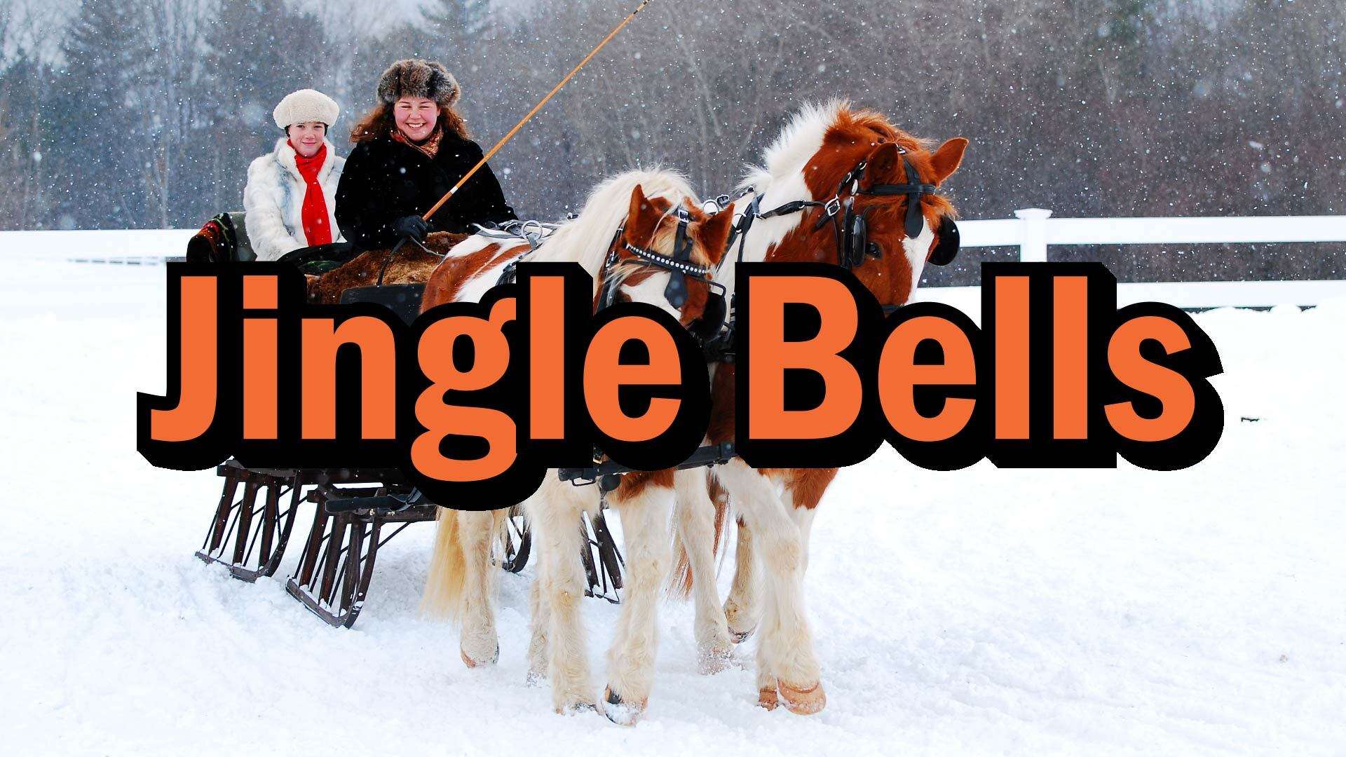 Jungle Bells, Christmas Song, Animal Song