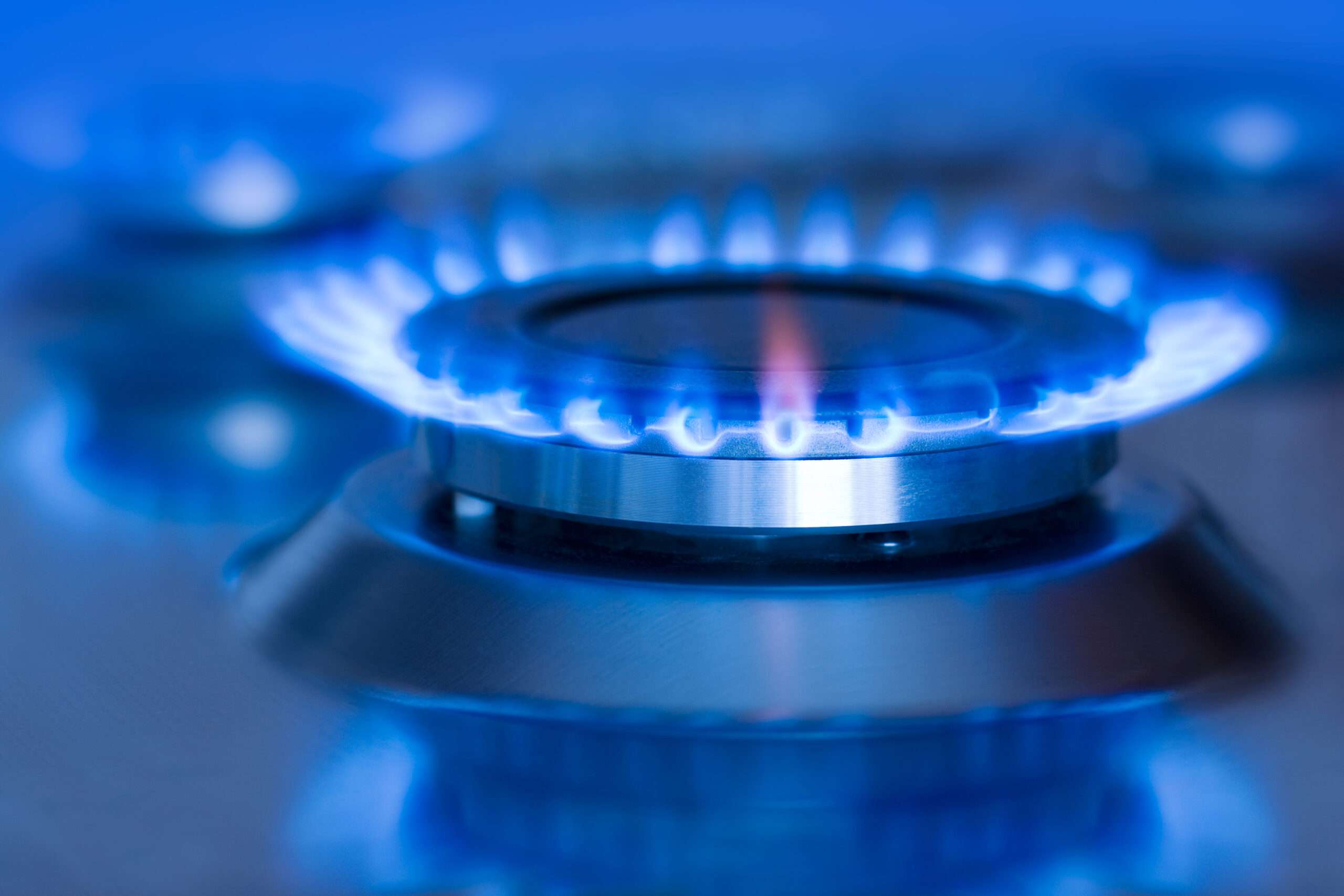 NYC Declares War On Gas Stoves