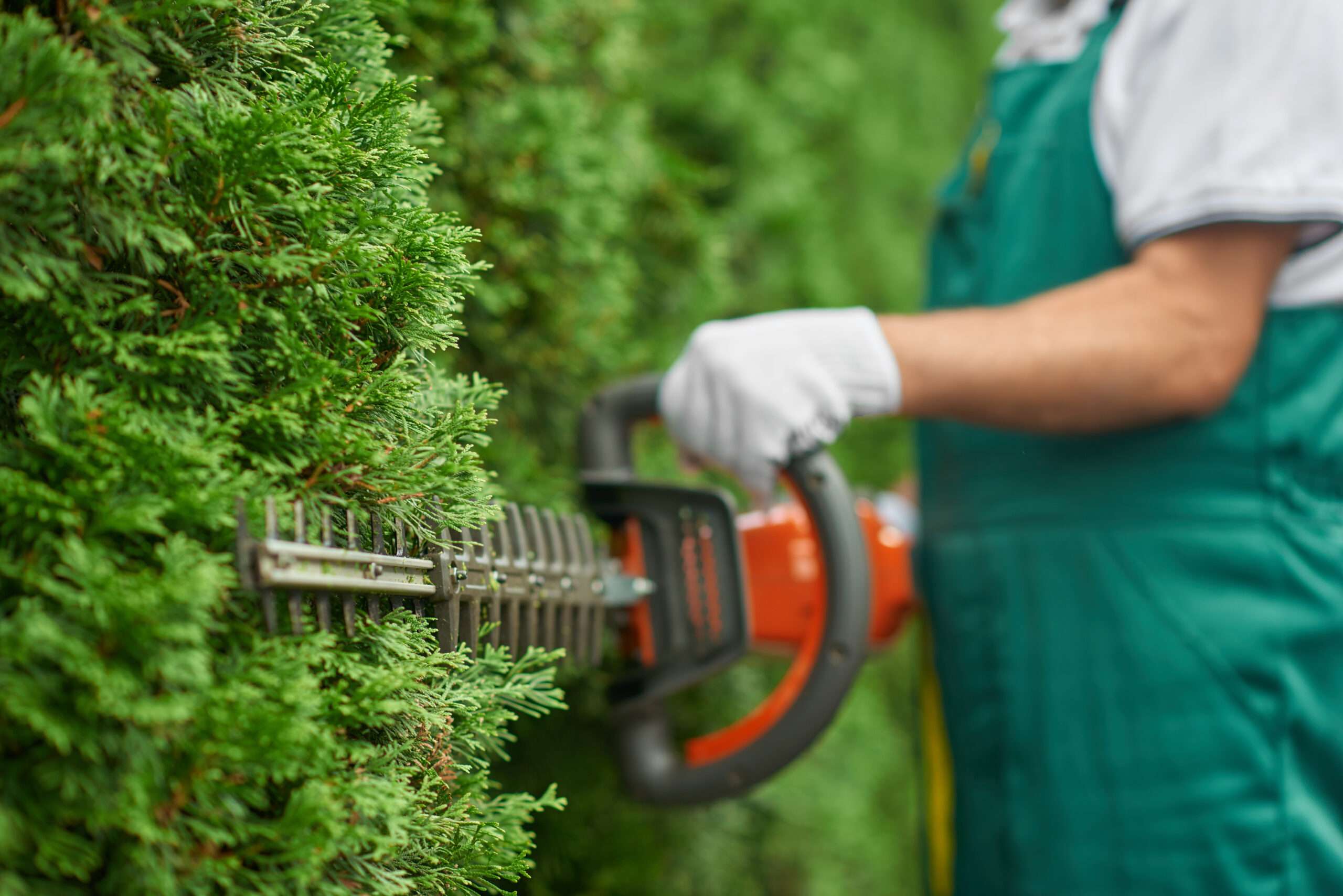 An Austin Zoning Technicality Made His Landscaping Business Illegal Overnight