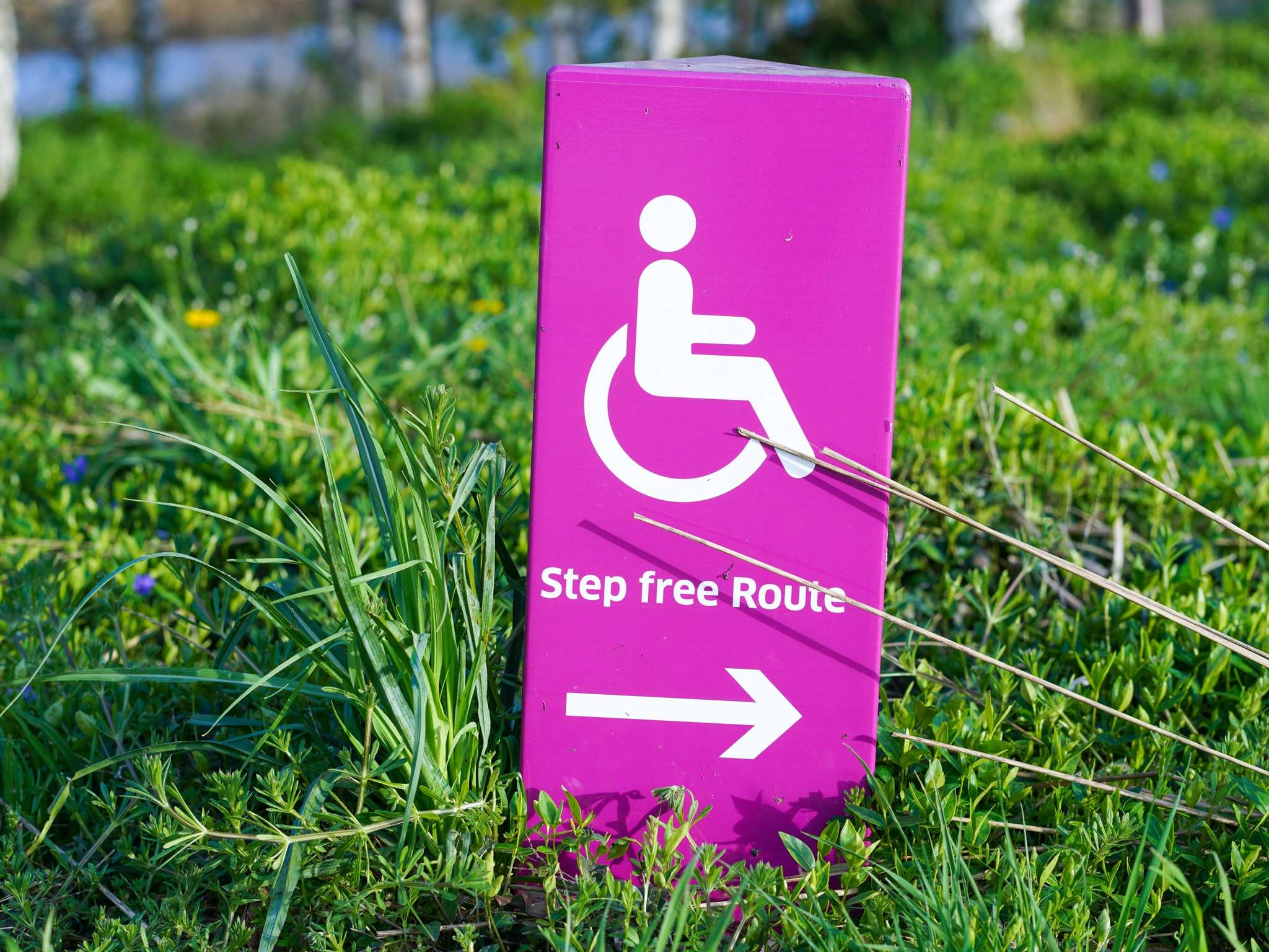 California Cities Sue Law Firm Accused of Abusing the ADA To Target Small Minority Businesses
