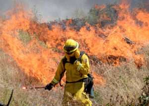 Fireman spraying brush while fire burns in the background.