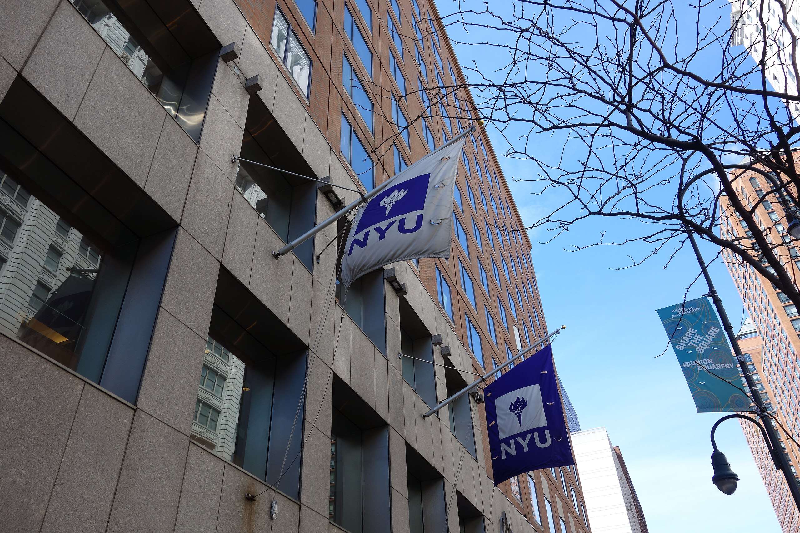 NYU Chemistry Professor Fired After Students Said His Class Was Too Hard