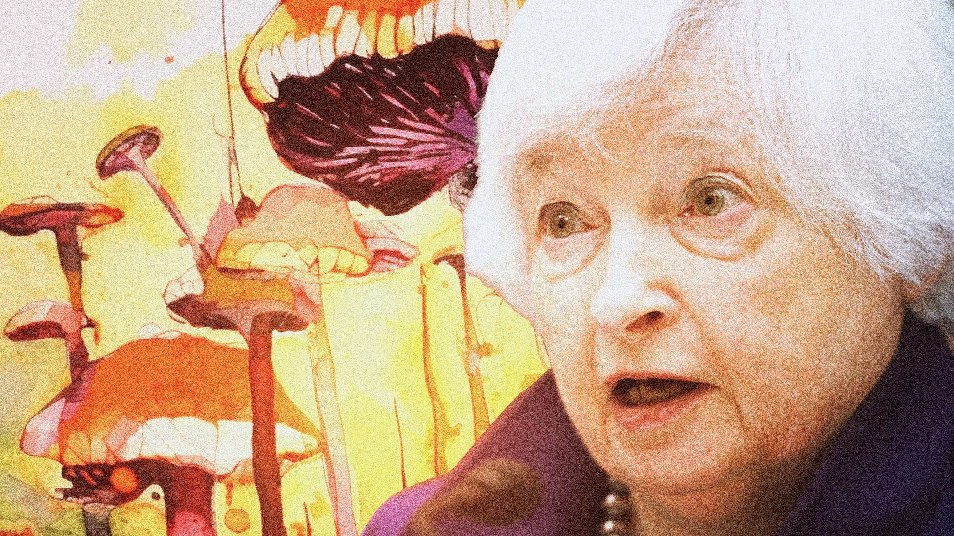 Janet Yellen Accidentally Ate Chinese Magic Mushrooms but Swears She Didn't Get High