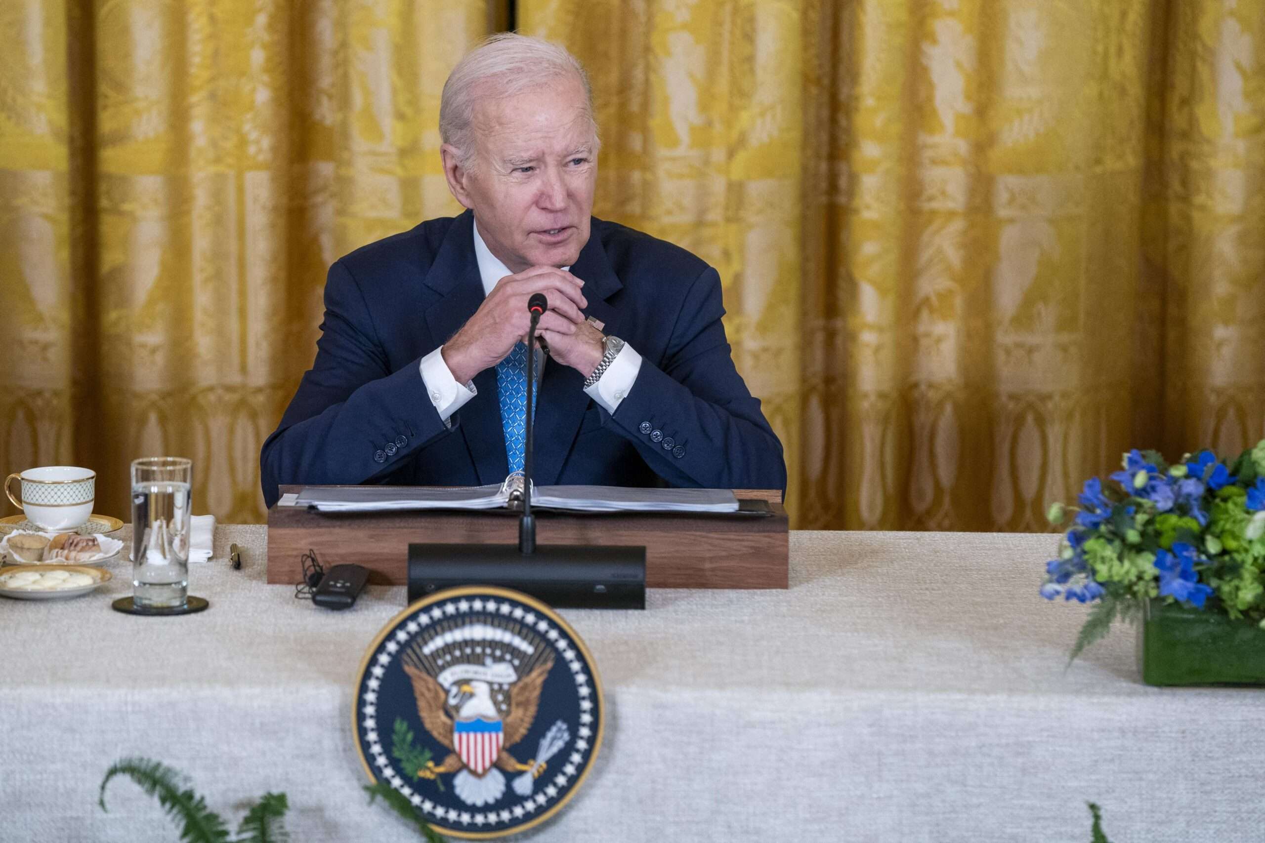 No Malarkey: Even Democrats Think Biden Is Too Old - Vimarsana News