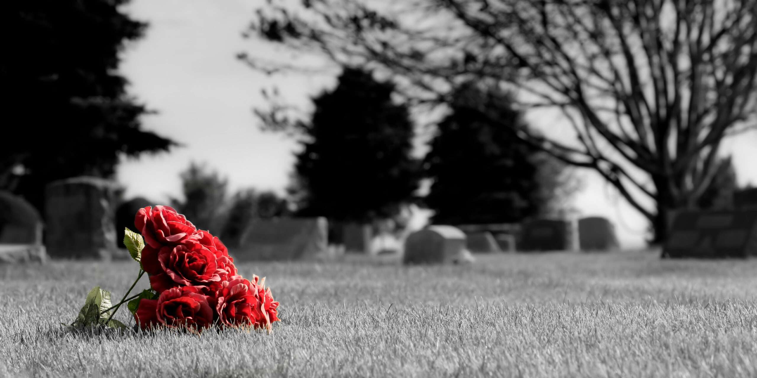 Michigan Township Bans All Cemeteries To Prevent Family from Starting One - Vimarsana News
