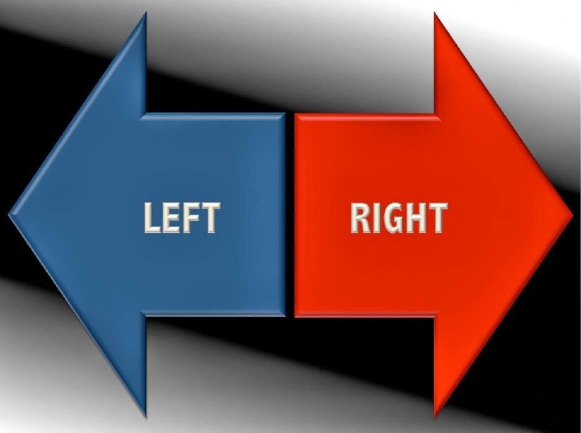 What Differentiates the Political Left and Right?