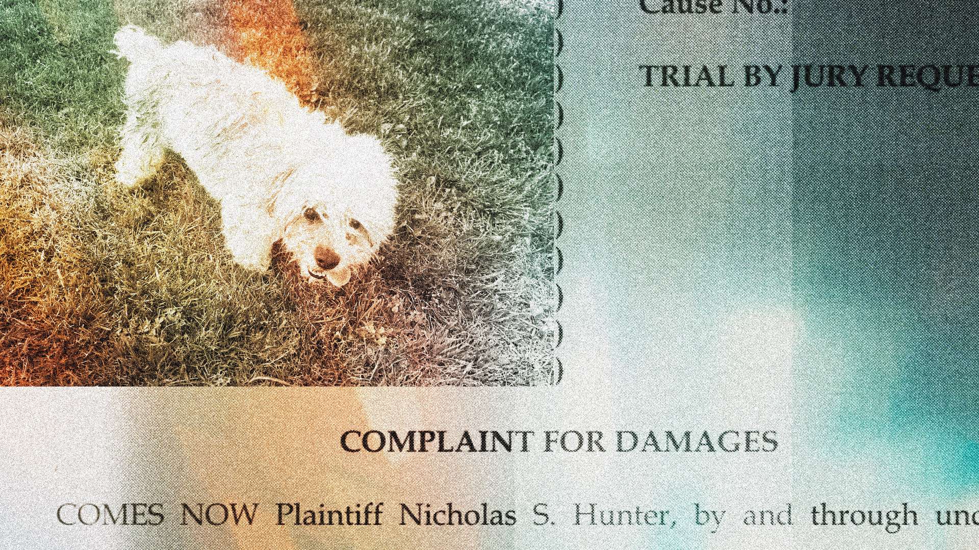 A Missouri police officer shot a blind and deaf dog. Now he's being sued.