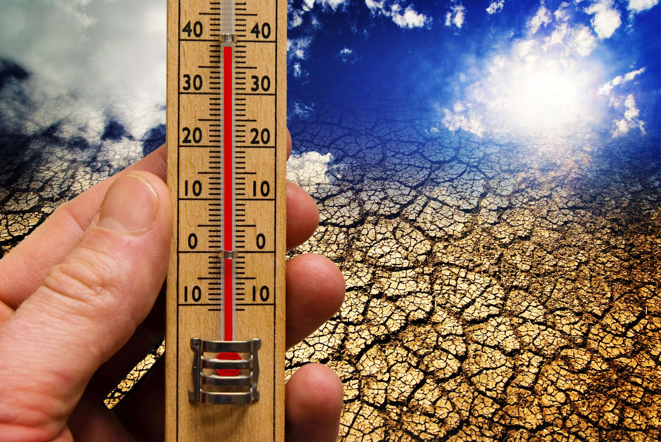 2024 was the hottest year on record