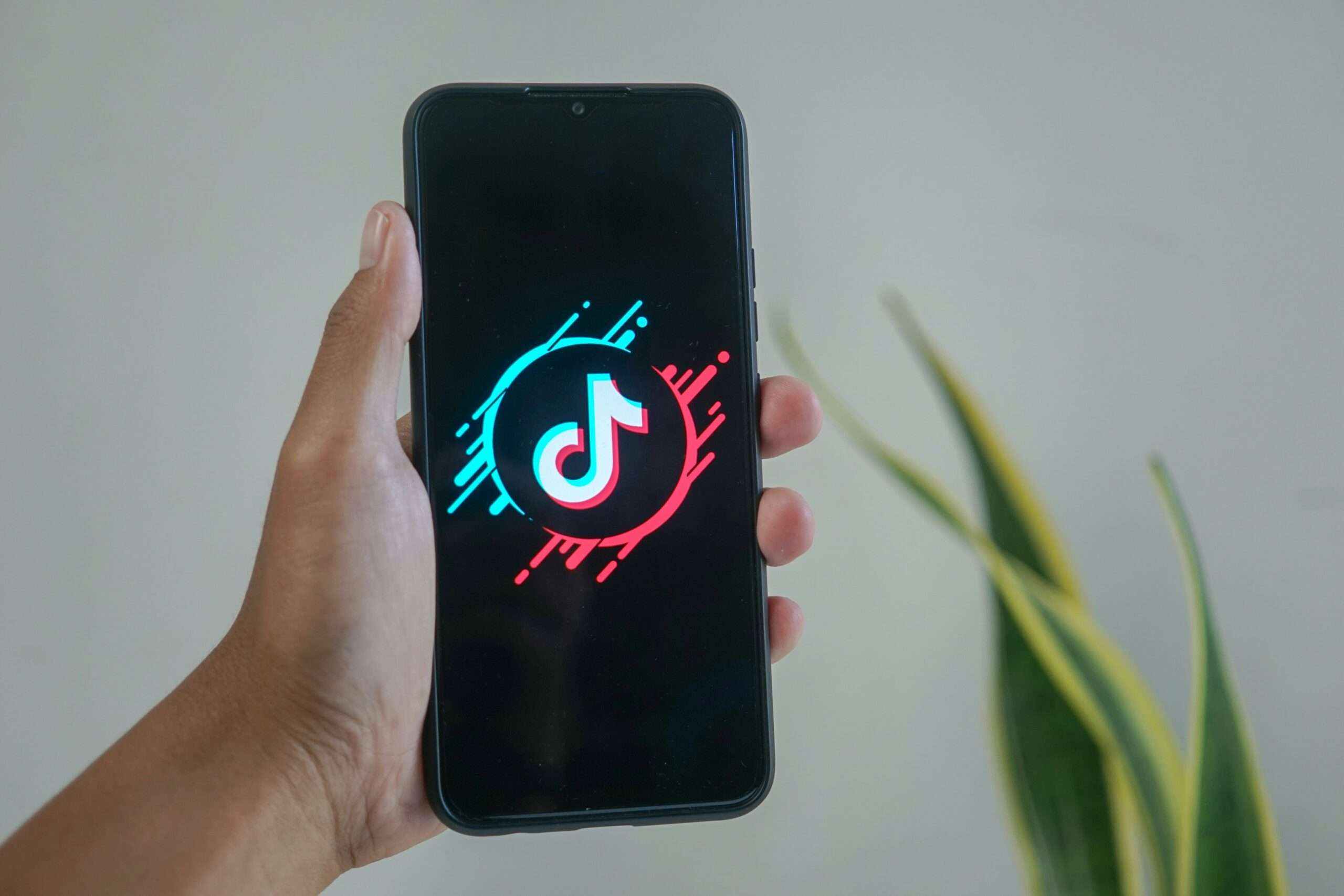 TikTok Goes Dark in the U.S.