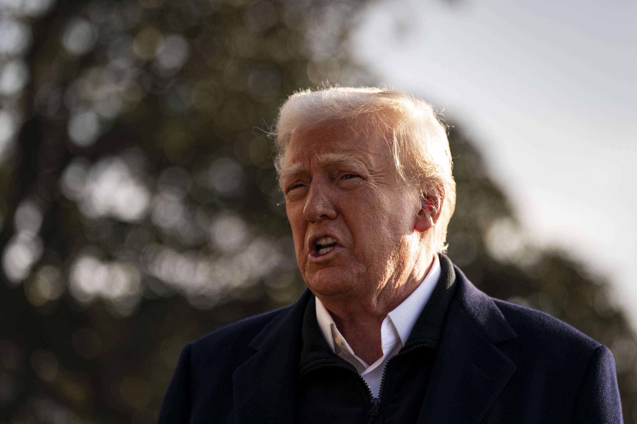 Trump Fires Inspectors General