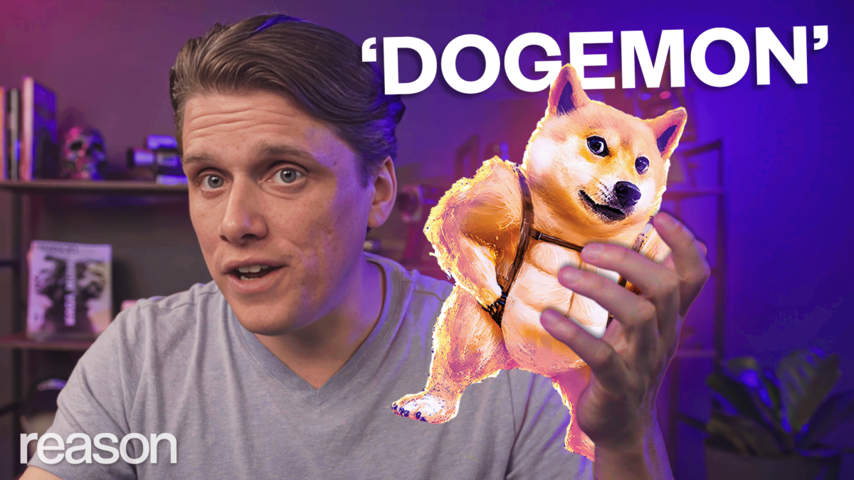How Pokémon Helps Explain DOGE