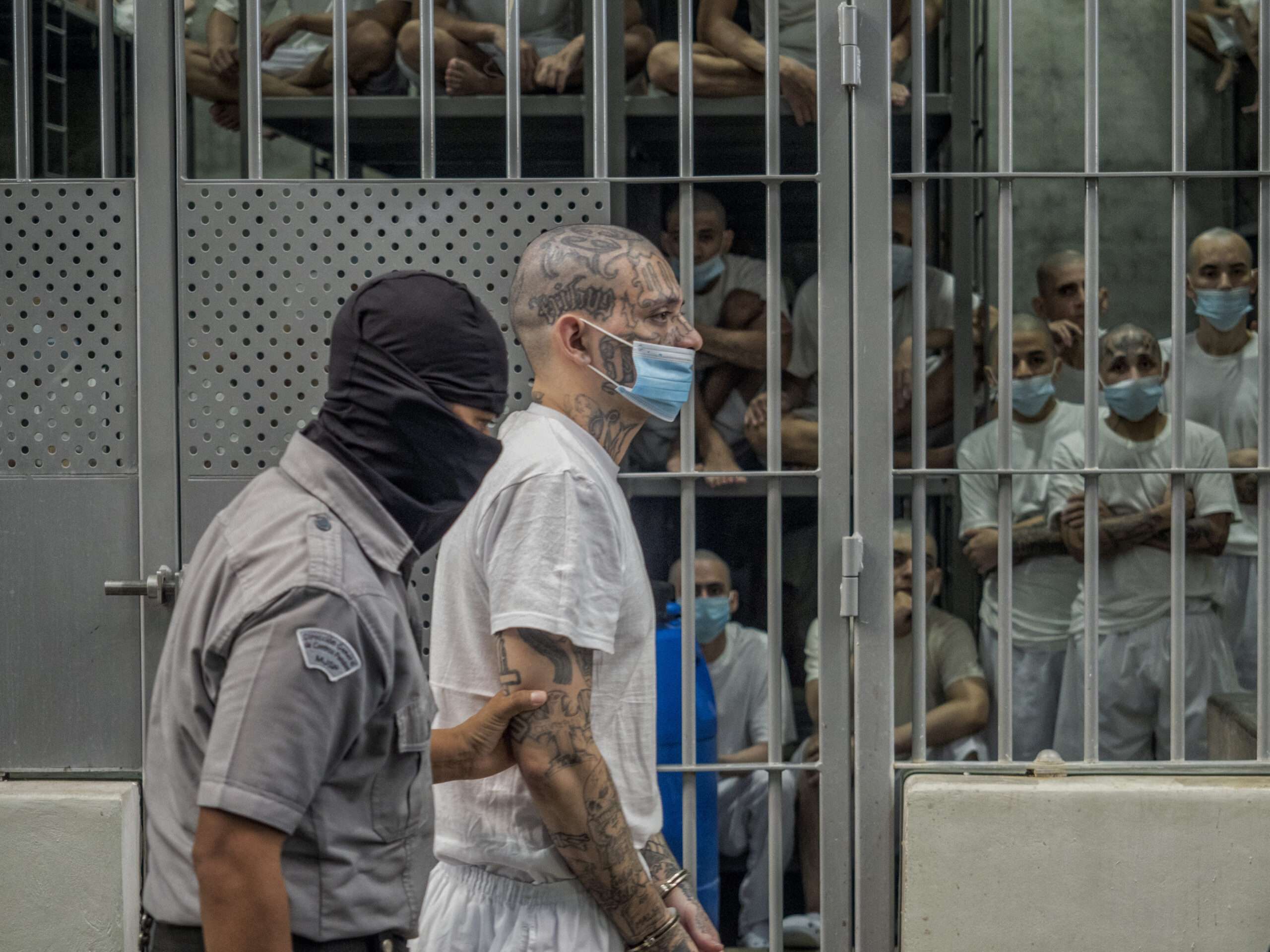 Trump administration deports Venezuelan gang members despite court order